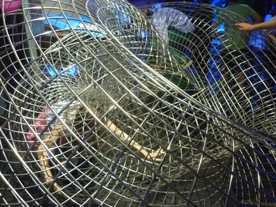 07.05.2015 - Exkurze "Zažij Liberecko" (7.B, 8.B, 9.A + 9.B) - Album - fotografie 79