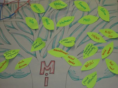 01.06.2015 - Vzděláváváme se projektem LA NGONPO - Album - fotografie 16