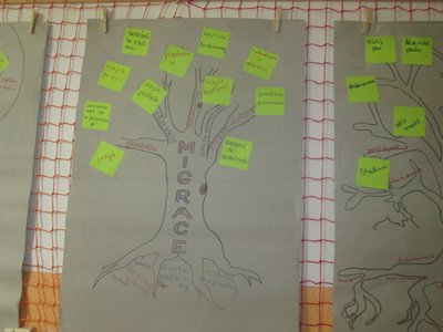 01.06.2015 - Vzděláváváme se projektem LA NGONPO - Album - fotografie 6