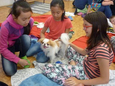 18.06.2015 - PET LESSON (hodina přírodovědy 5.B) - Album