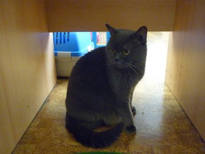 18.06.2015 - PET LESSON (hodina přírodovědy 5.B) - Album - fotografie 27