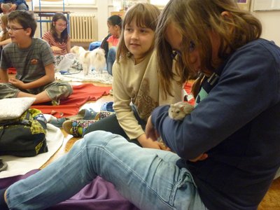 18.06.2015 - PET LESSON (hodina přírodovědy 5.B) - Album - fotografie 8