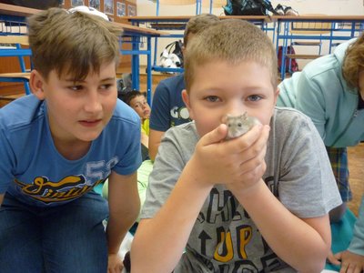 18.06.2015 - PET LESSON (hodina přírodovědy 5.B) - Album - fotografie 25