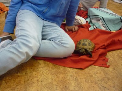 18.06.2015 - PET LESSON (hodina přírodovědy 5.B) - Album - fotografie 30