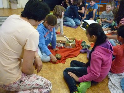 18.06.2015 - PET LESSON (hodina přírodovědy 5.B) - Album - fotografie 4