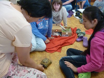 18.06.2015 - PET LESSON (hodina přírodovědy 5.B) - Album - fotografie 6