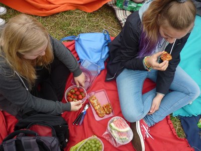 24.06.2015 - Závěrečný piknik ve Stromovce (7.B + 8.B) - Album - fotografie 3