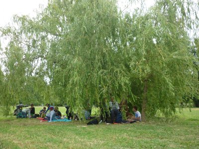 24.06.2015 - Závěrečný piknik ve Stromovce (7.B + 8.B) - Album - fotografie 12