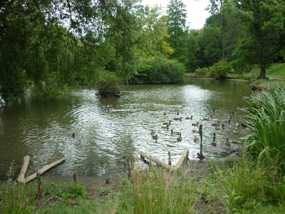 24.06.2015 - Závěrečný piknik ve Stromovce (7.B + 8.B) - Album - fotografie 5