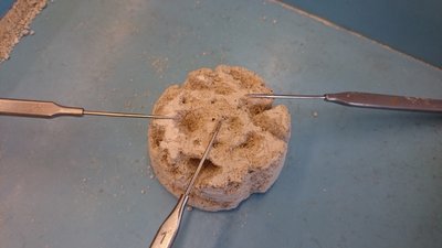 03.10.2016 - Team Teaching - pískovcová města (9.AB) - Album - fotografie 26