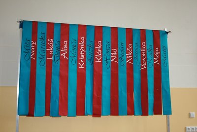 27.06.2017 - 27.6.2017 Rozloučení s 9. třídami 2017 (9.A+9.B) - Album - fotografie 16