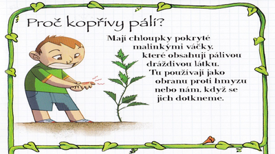 22.09.2017 - Proč kopřivy pálí - hodina přírodovědy (5.C) - Album