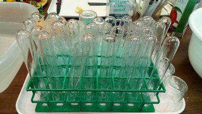 20.10.2017 - Kids Lab Abrakadabra - Chytří gurmáni z 5.C - Album - fotografie 15