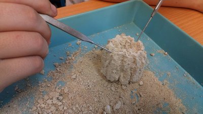 02.11.2017 - Team Teaching: pískovcová města (9.A) - Album - fotografie 8