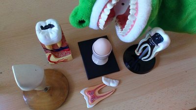 23.02.2018 - PÉČE O NAŠE ZUBY - workshop pro 5.C - Album