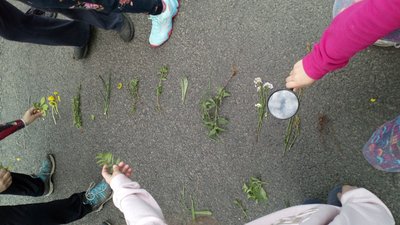 30.04.2018 - Škola v přírodě JEDLOVÁ (5.A + 5.C) - Album - fotografie 38