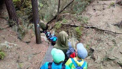 30.04.2018 - Škola v přírodě JEDLOVÁ (5.A + 5.C) - Album - fotografie 49