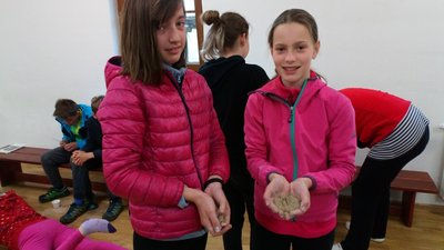 30.04.2018 - Škola v přírodě JEDLOVÁ (5.A + 5.C) - Album - fotografie 5