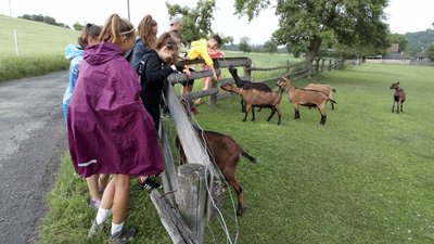 31.05.2018 - Expedice Křivoklátsko (9.B) - Album - fotografie 8