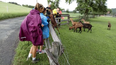 31.05.2018 - Expedice Křivoklátsko (9.B) - Album - fotografie 43