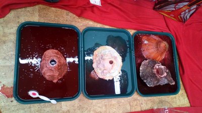 10.06.2018 - Zeměpisný kroužek - projekt OP VVV - Album - fotografie 12