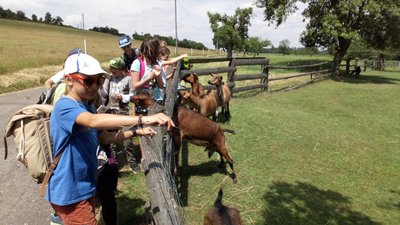 15.06.2018 - Expedice Křivoklátsko (5.C) - Album - fotografie 3