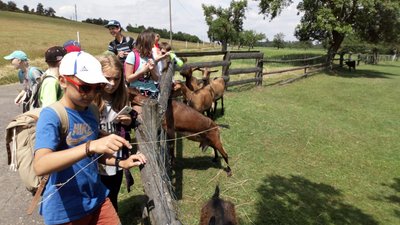15.06.2018 - Expedice Křivoklátsko (5.C) - Album - fotografie 14