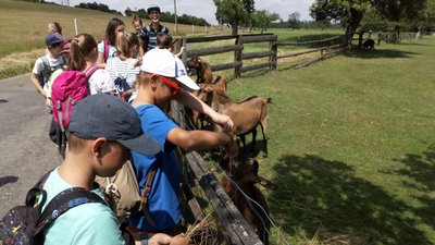 15.06.2018 - Expedice Křivoklátsko (5.C) - Album - fotografie 9
