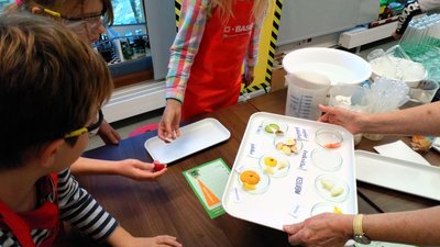 16.11.2018 - Laboratoř Abrakadabra - Chytří gurmáni z 5.D - Album - fotografie 5