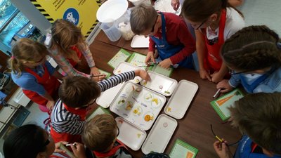 16.11.2018 - Laboratoř Abrakadabra - Chytří gurmáni z 5.D - Album - fotografie 17