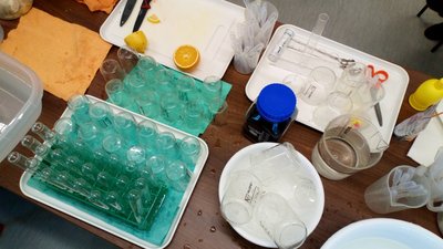 16.11.2018 - Laboratoř Abrakadabra - Chytří gurmáni z 5.D - Album - fotografie 6