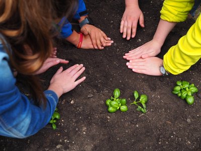 17.06.2019 - Projekt Garden Food (zeměpisný kroužek) - Album - fotografie 11