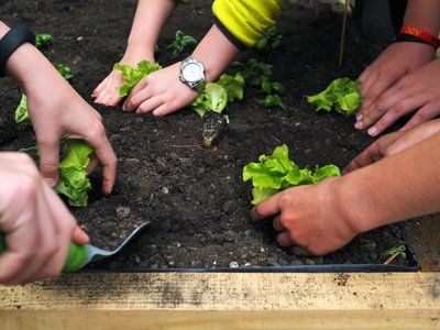 17.06.2019 - Projekt Garden Food (zeměpisný kroužek) - Album - fotografie 7