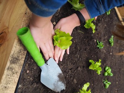 17.06.2019 - Projekt Garden Food (zeměpisný kroužek) - Album - fotografie 5