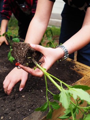 17.06.2019 - Projekt Garden Food (zeměpisný kroužek) - Album - fotografie 15