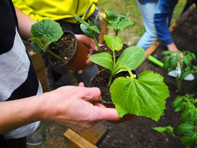 17.06.2019 - Projekt Garden Food (zeměpisný kroužek) - Album - fotografie 14