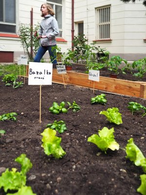 17.06.2019 - Projekt Garden Food (zeměpisný kroužek) - Album