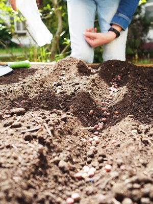 17.06.2019 - Projekt Garden Food (zeměpisný kroužek) - Album - fotografie 12