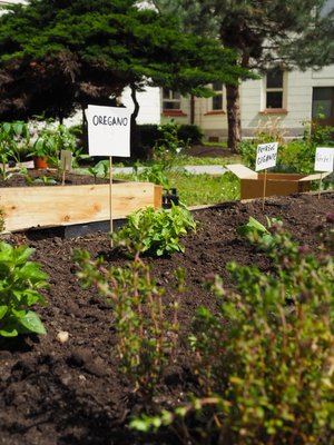 17.06.2019 - Projekt Garden Food (zeměpisný kroužek) - Album - fotografie 3