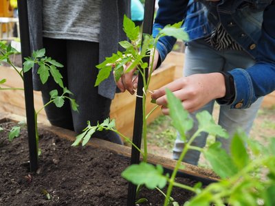 17.06.2019 - Projekt Garden Food (zeměpisný kroužek) - Album - fotografie 9
