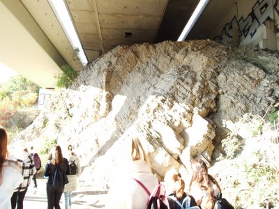 08.10.2021 - Geologický projektový den (9.ABC) - Album - fotografie 22