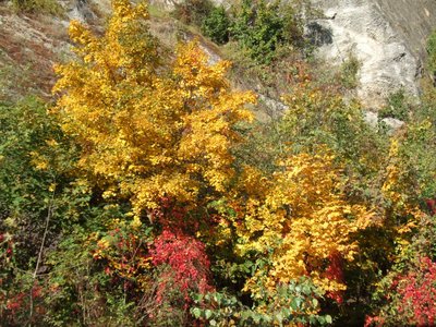 08.10.2021 - Geologický projektový den (9.ABC) - Album - fotografie 35