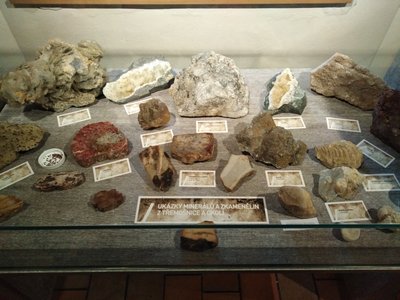 14.11.2022 - Terénní výuka (Cemex a Železné hory) - Album - fotografie 20