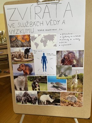 06.06.2023 - Prezentace posterů žáků 9. ročníku - Album - fotografie 17