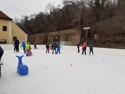 15.01.2024 - Bruslení - Album - fotografie 3