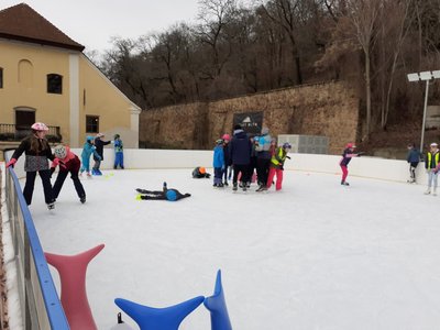 15.01.2024 - Bruslení - Album - fotografie 14