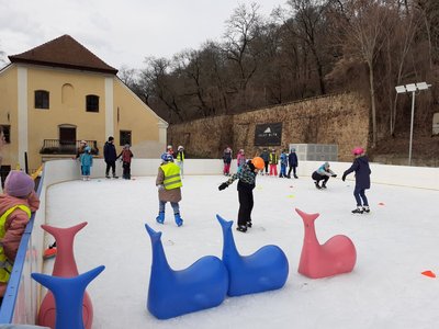 15.01.2024 - Bruslení - Album - fotografie 20